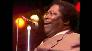 BB King  Dont Answer The Door HOLLAND  Live Aid 7131985 [upl. by Gore850]