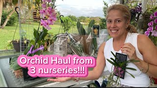 Orchid Nursery Shopping Haul  rare find and wishlist plants [upl. by Nos935]