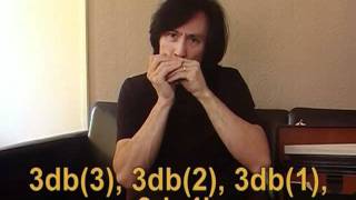 Harmonica Blues Lesson 39  The Chromatic Scale on Blues Harp [upl. by Adeline]