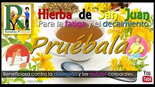 🍵 Hierba de San Juan o Hipérico para subir y levantar el estado de ánimo la fatiga y el decaimiento [upl. by Federico813]