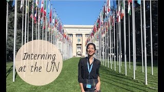 Interning at the UN  How to apply What is it like What do you do [upl. by Amehr970]