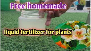 बिल्कुल फ्री का खाद liquid fertilizer पौधों के लिए फ्री कैल्शियम और पोषक तत्वों से भरपूर plants [upl. by Epoillac698]