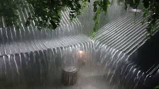 Heavy Rain amp Thunderstorm on Tin Roof for Deep Sleep at Night [upl. by Llerrah]