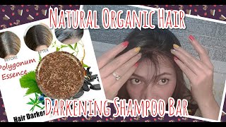 Natural Organic Hair Darkening Shampoo Bar Honest Review Part 1 [upl. by Eraste]