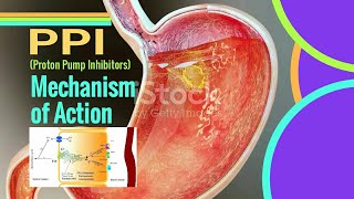 PPI Mechanism of Action  Proton pump inhibitors mechanism of action [upl. by Otte]