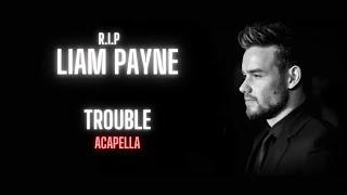 Liam Payne Trouble Acapella  Vocals Only [upl. by Aneev]