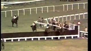 LEscargot The 1970 Cheltenham Gold Cup [upl. by Fiedling322]