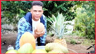 ¡LISTADO DE TODAS LAS FRUTAS DEL MUNDO amp sus origenes [upl. by Levon]