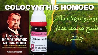 Colocynthis Benefits in Urdu  Colocynthis Single remedy  Homoeo Dr Adnan [upl. by Imeaj12]