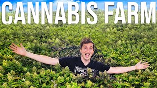 Cannabis Farm Vlog Private Reserve Gardens [upl. by Ayekan907]