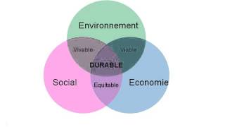 G1 Les enjeux du développement durable [upl. by Alleuqram247]