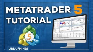 How to Use Meta Trader 5 Details about Meta Trader 5  MetaTrader 5  MT5 [upl. by Alleunam]