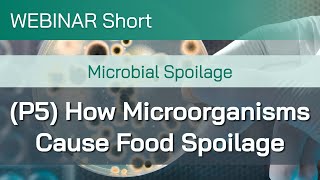 Webinar Short Microbial Spoilage Part 5 How Microorganisms Cause Food Spoilage [upl. by Eiryk720]