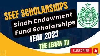 How to apply in SEEF Scholarships 2023  Sindh Endowment Fund Scholarship 2023 [upl. by Kleiman]