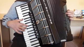 Accordion Weltmeister Consona S4 120 Bass Double Cassotto Akkordeon Fisarmonica 2 [upl. by Beaufert940]