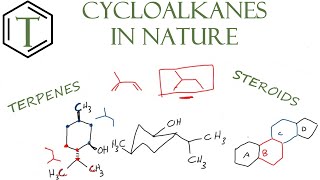 Cycloalkanes in Nature  Organic Chemistry Lessons [upl. by Ruddie297]