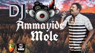 Ammayide Mole njan Malayalam Dj Remix MD VIBES [upl. by Ahseenat617]