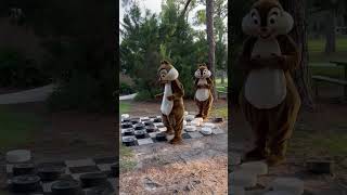 Chip amp Dale Playing Checkers at Disneys Fort Wilderness disneyworld disneycharacters [upl. by Charry]