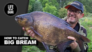 BREAM FISHING  HOW TO CATCH BIG BREAM [upl. by Scriven]