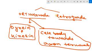 AXONAL TRANSPORT  ORTHOGRADE AND RETROGADE TRANSPORT [upl. by Bayer]