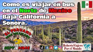 Como es viajar en bus en el Norte de Mexico Baja California a Sonora [upl. by Colson]