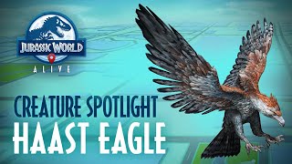 Creature Spotlight  Haast Eagle [upl. by Airotkiv]