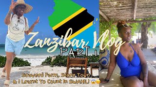 😍🏝️ ZANZIBAR VLOG pt1 ACCOMMODATION LEARN SWAHILI  SEAWEED FARM  STONE TOWN [upl. by Kotto]