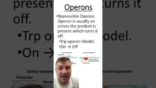 Inducible vs repressible operon [upl. by Anonyw]