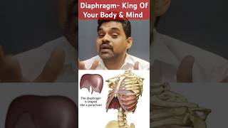 Why Your Diaphragm Is Key To Your Health [upl. by Layap]