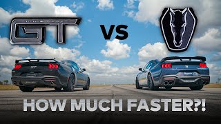 2024 Ford Mustang GT vs Dark Horse Mustang  Stock Comparison  Dig and Roll Drag Race [upl. by Skilken182]