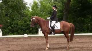 LDressur in Beesenstedt 2013  Dressur L5 [upl. by Kcirdneh]