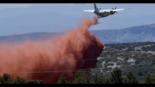 Incendies dans les PyrénéesOrientales  Les habitants sont convaincus par la piste criminelle [upl. by Nekcerb865]