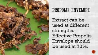 Propolis is a product of the bee hive [upl. by Ailehs]