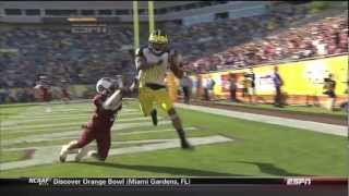 Michigan Football Hype 2013 HD [upl. by Anilrac690]