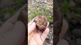 🤯👀 EPIC AGATE FIND 👀🤯 agate rockhounding rocks geology nature beachcombing shorts [upl. by Marylin]