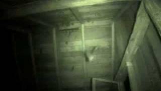 Night footage of bats flying in cabin [upl. by Nerw90]