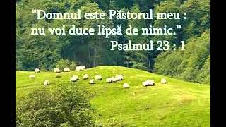 Fratele rubendomnul e pastorul meu 2015 [upl. by Enitsirhk472]