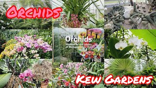 ORCHIDS EXHIBITION AT KEW GARDENS LONDON kewgardens trending orchid exhibition fypシ vlog [upl. by Weyermann]