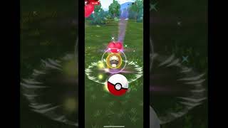 Catching bidoof [upl. by Ailic]