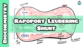 Rapoport Leubering Shunt made simple for inicet neetpg usmle nclex [upl. by Noir427]