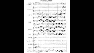 TE DEUM by Johann Adolph Hasse Audio  Full score [upl. by Alexandro869]