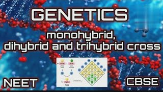 Monohybrid Dihybrid Trihybrid Cross  GENETICS  CBSENEET [upl. by Nerat]