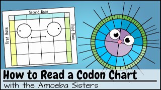 How to Read a Codon Chart [upl. by Nodnal]