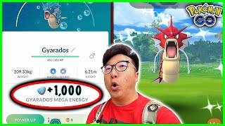 How to Get 1000 FREE Mega Gyarados Energy in 1 Day in Pokemon GO [upl. by Gratianna]