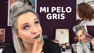 MI PELO GRIS  COMO CONSEGUIRLO MANTENIMIENTO CUIDADOS EN CASA  Covi in wonderland [upl. by Hcab]