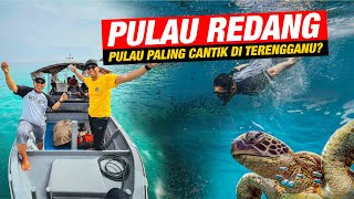 Menyelam dengan Penyu di Taman Laut Pulau Redang [upl. by Alyakam]