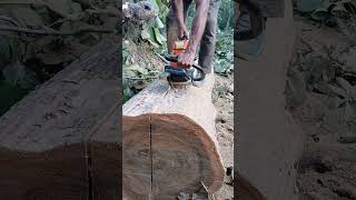 Stihl chainsaw woodcutter ms382 sthilms382 chainsaw powertool treecutting trees treeremoval [upl. by Aillicec714]