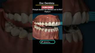 Porqué duelen los dientes con lo frio parte 4 [upl. by Missi]