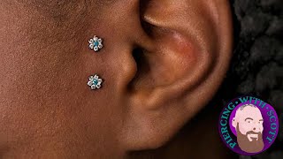 The Whole Truth  Surface Tragus Piercing [upl. by Ynaffi]