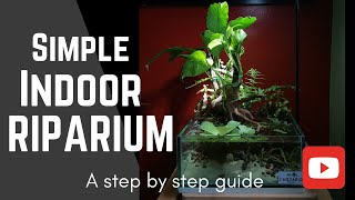 Simple Indoor Riparium Step by step guide [upl. by Theodore]